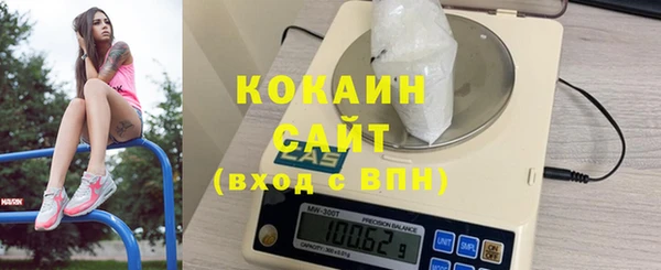 мет Новозыбков