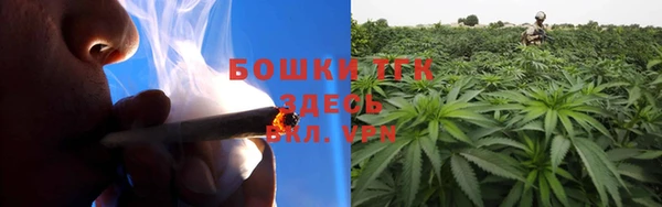 мет Новозыбков