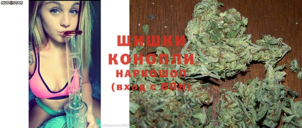 дурь Новодвинск