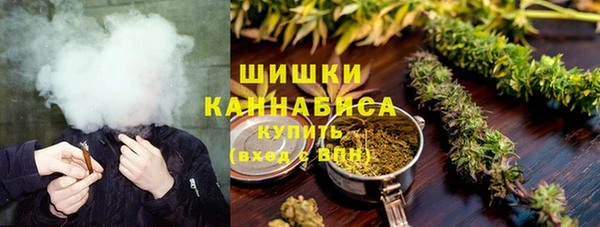 дурь Новодвинск