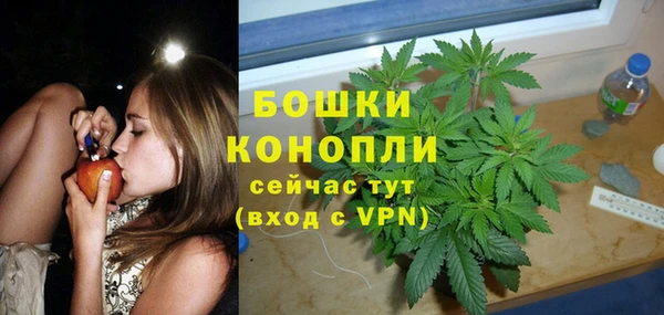 дурь Новодвинск