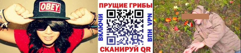 МЕГА зеркало  Ува  Псилоцибиновые грибы ЛСД 